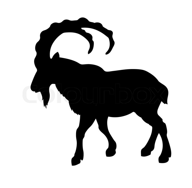 800x787 Vector Silhouette Mountain Ram On Stock Vector Colourbox
