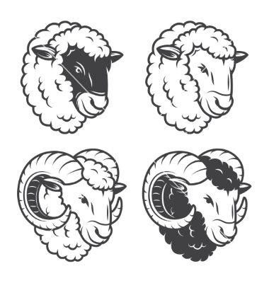 380x400 Sheeps And Rams Heads Vector