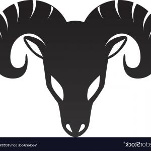 Ram Head Vector at Vectorified.com | Collection of Ram Head Vector free ...