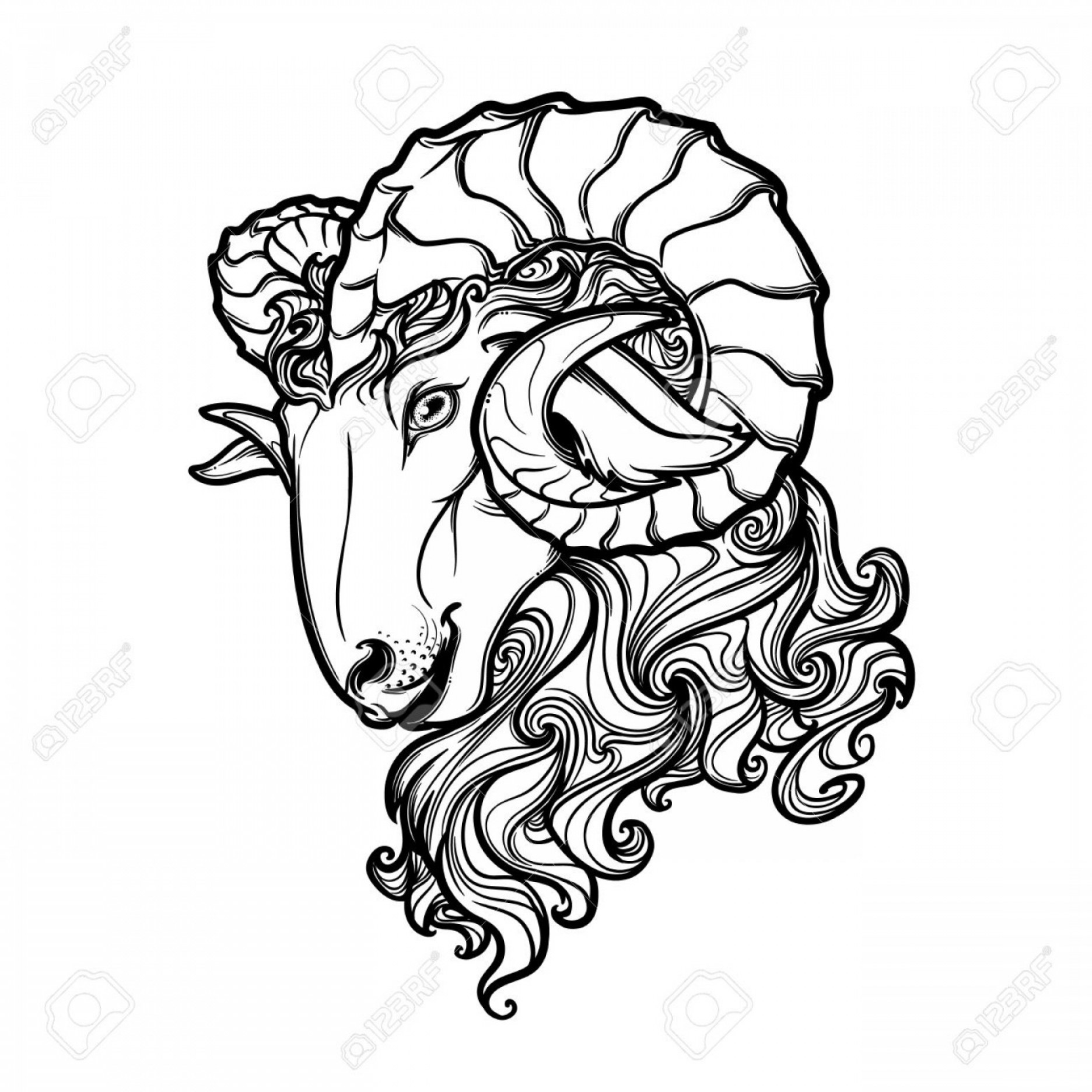 1872x1872 Photostock Vector Side View Of A Ram Head With Big Twisted Horns