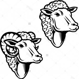 300x300 Set Of Sheep Head Illustration Ram Head Design Element For Logo