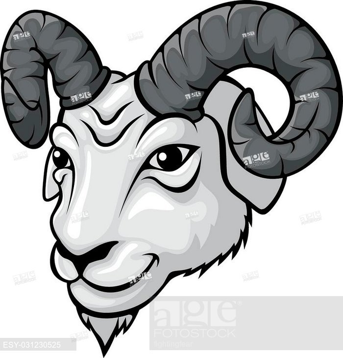 700x729 Vector Illustration Of Ram Head Mascot, Stock Vector, Vector