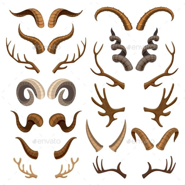 590x590 Horn Vector Horned Wild Animal And Deer Or Antelope Antlers