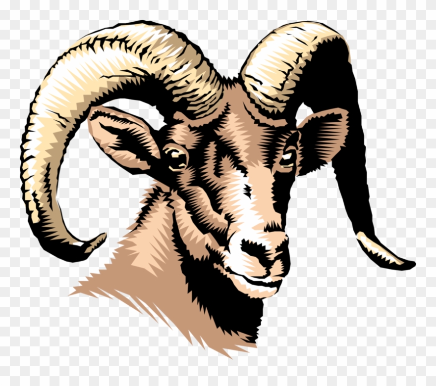 880x780 Horns Vector Ram Horn Clipart