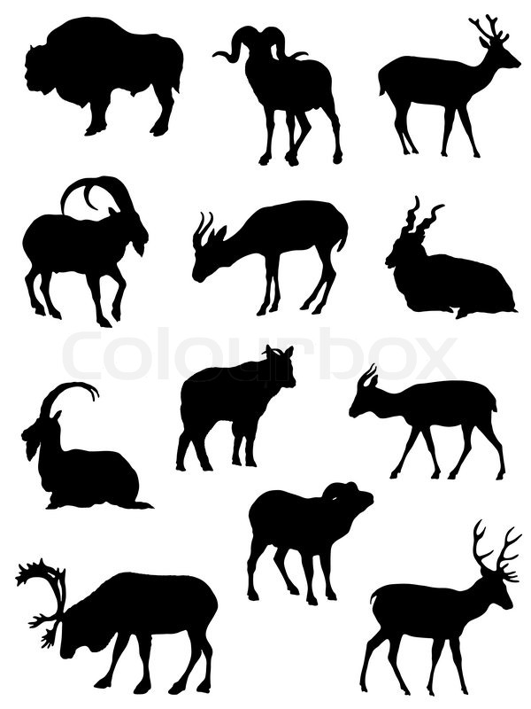600x800 Isolated, Illustration, Goat, Stock Vector Colourbox