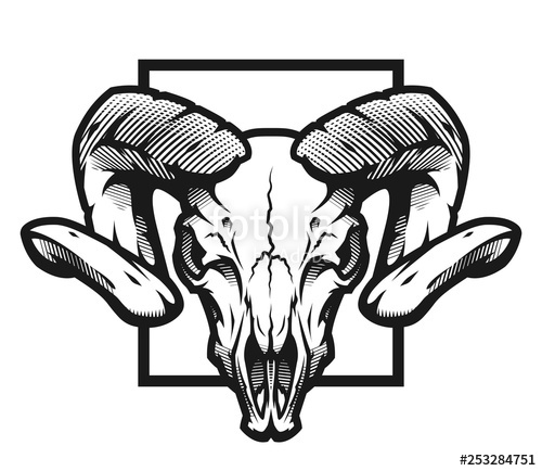 500x434 Ram Skull, Black And White Emblem, Illustration Vector