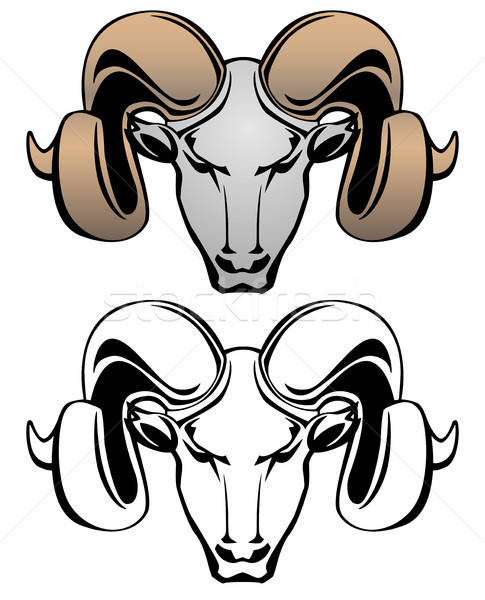 485x600 Rams Horn Stock Photos, Stock Images And Vectors Stockfresh