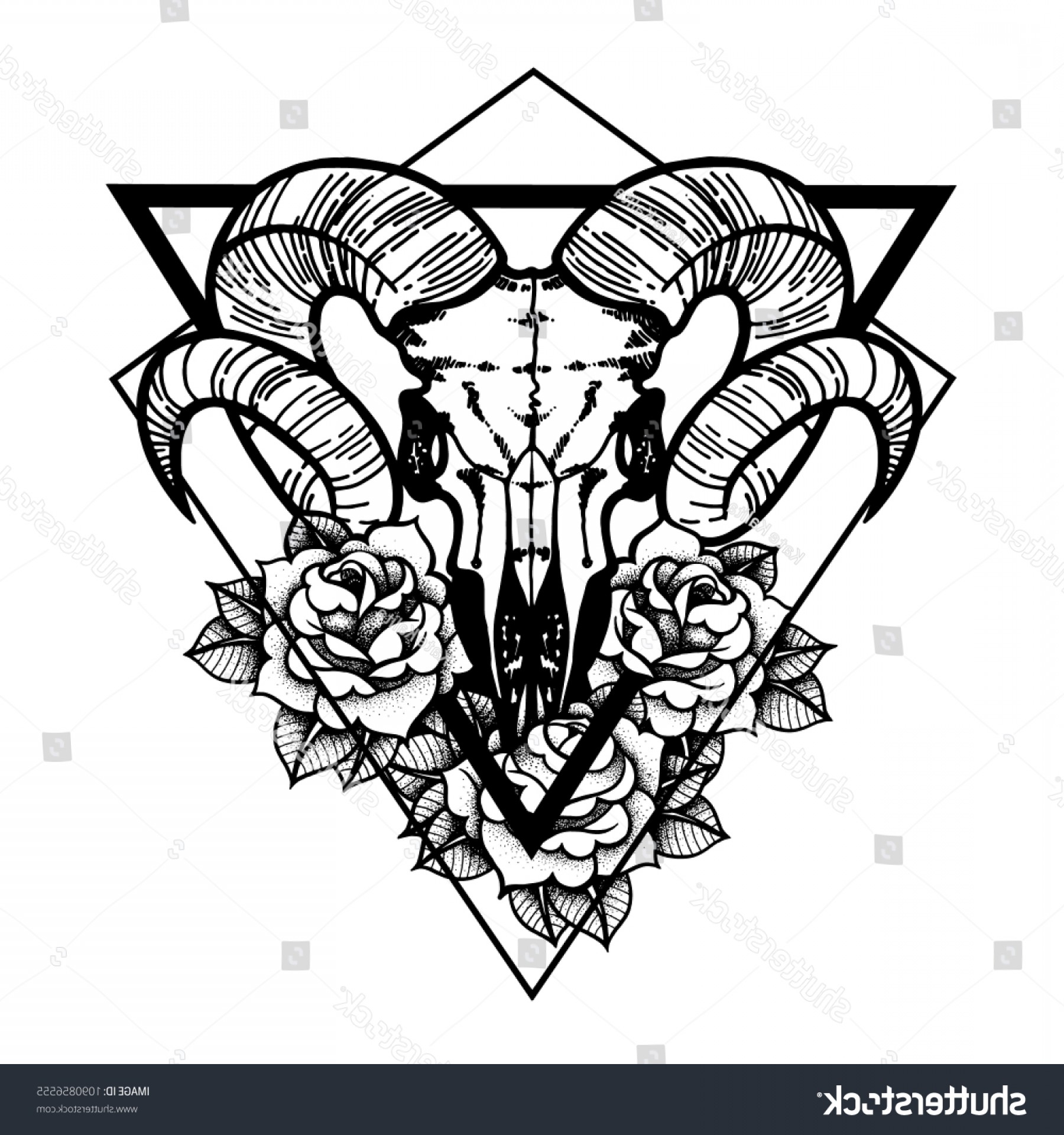 1800x1920 Rose Tattoo Skull Sheep Horns Traditional Cqrecords