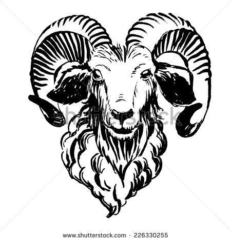 450x470 Vector Illustration Marker Hand Drawn Farm Animals Ram