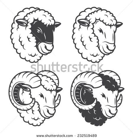 450x470 Vector Illustration Of Sheeps And Rams Heads Monochrome
