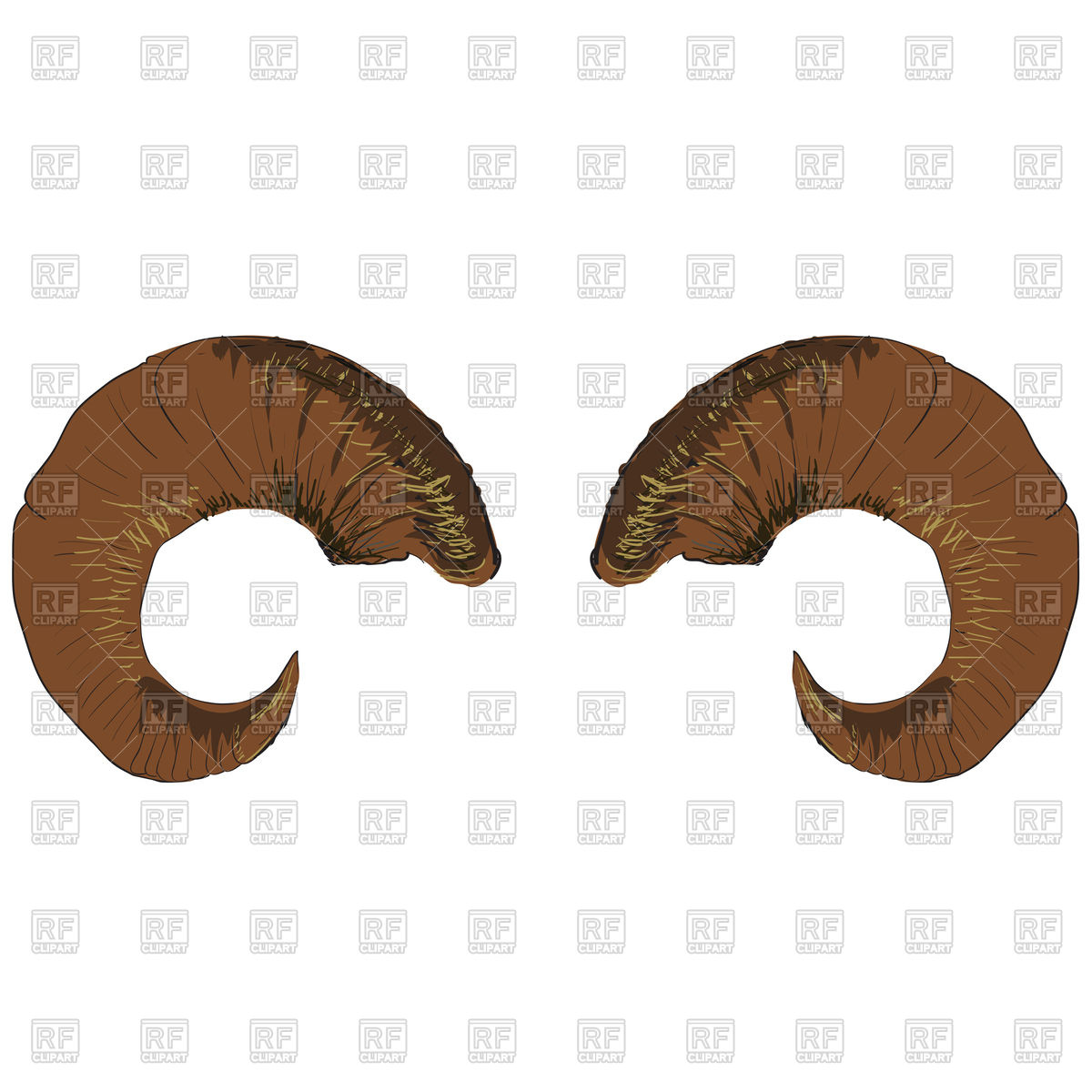 1200x1200 Animal Ram Of Goat Horns Isolated On White Background Vector Image
