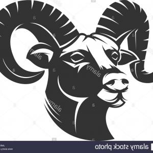 300x300 Auto Ram Logo Vector Png Newwaysys