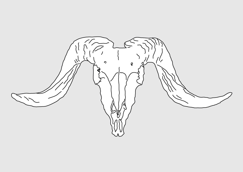 800x566 Lineart Ram Skull