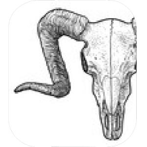 300x300 Ram Skull Illustration Drawing Engraving Ink Line Art Vector