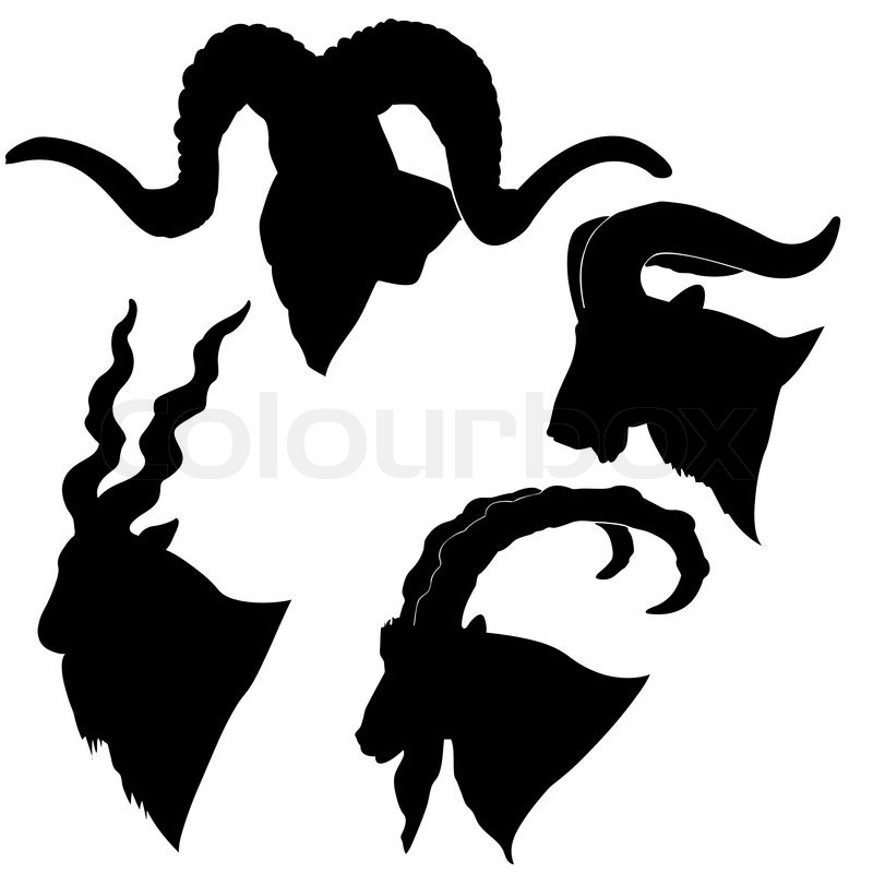 800x800 Ram Skull Silhouette