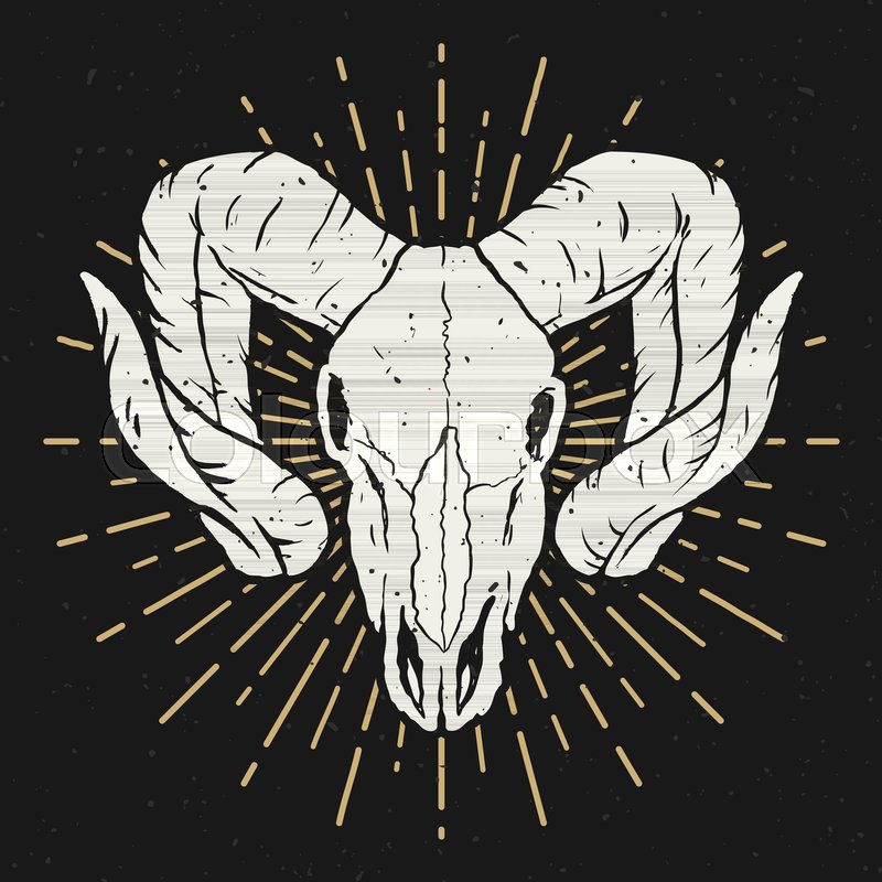 800x800 Ram Skull Illustration Design Element Stock Vector Colourbox