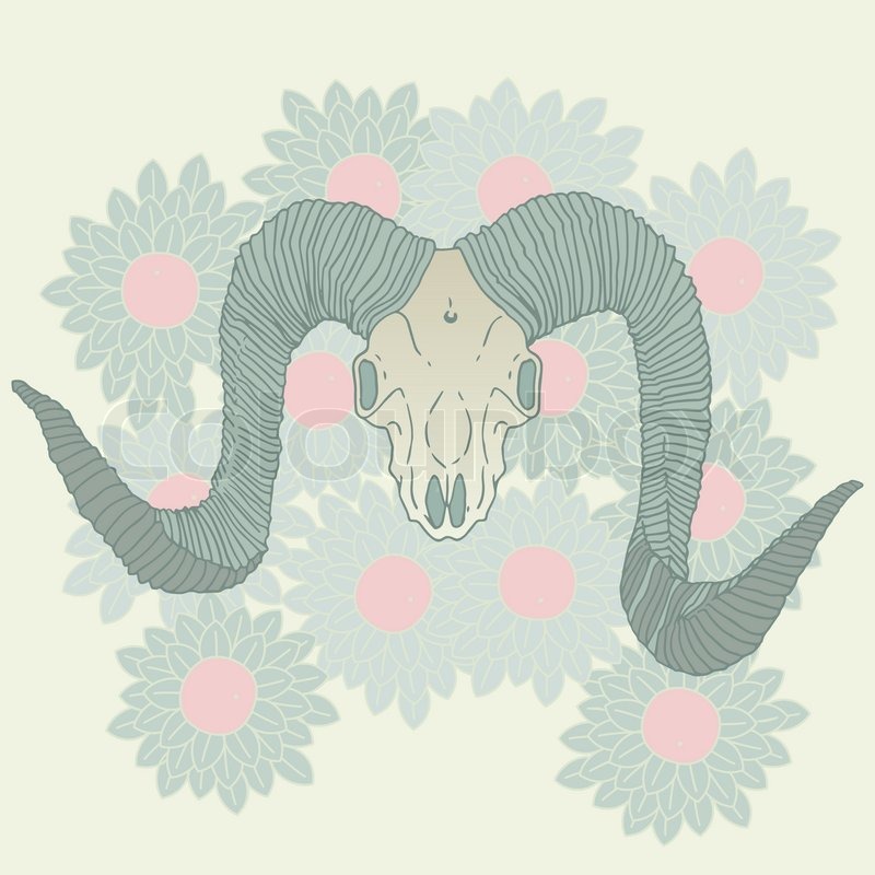 800x800 Ram Skull On Floral Background Vector Stock Vector Colourbox