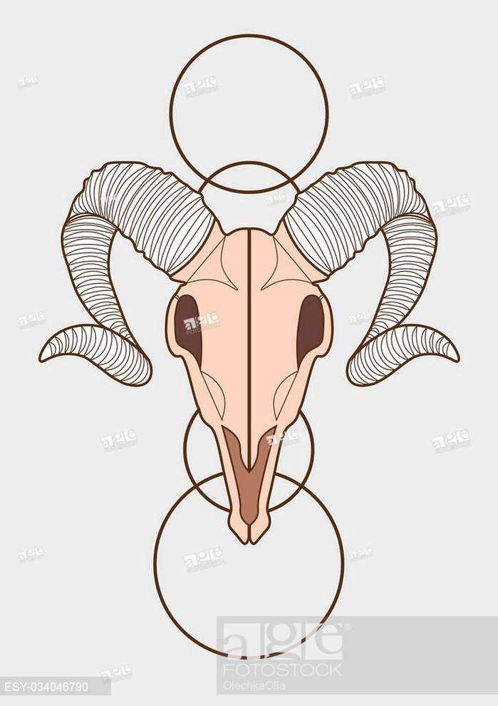 699x990 Illustration Of Ram Skull, Stock Vector, Vector And Low Budget