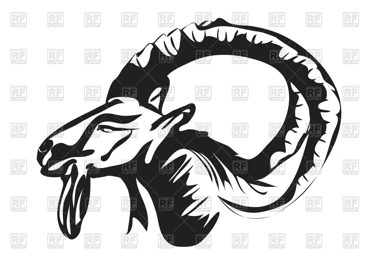 1200x849 Ibex Outline On White Background, Zodiac Sign Of Ram Vector Image