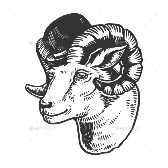 590x590 Ram Animal In Bowler Hat Engraving Vector