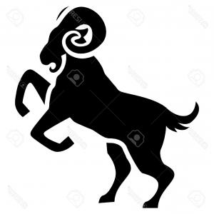 300x300 Stock Photo Tattoo Ram Design Vector Art Hoodamath