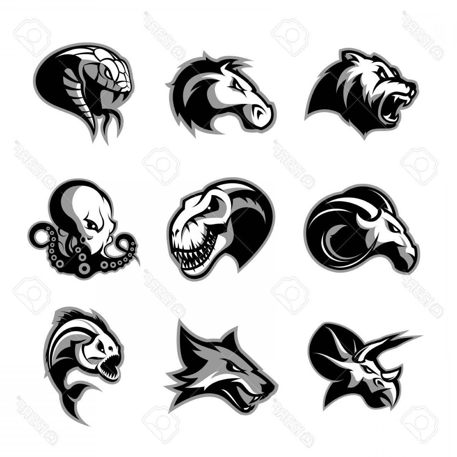 1560x1560 Photostock Vector Bear Horse Snake Ram Fox Piranha Dinosaur