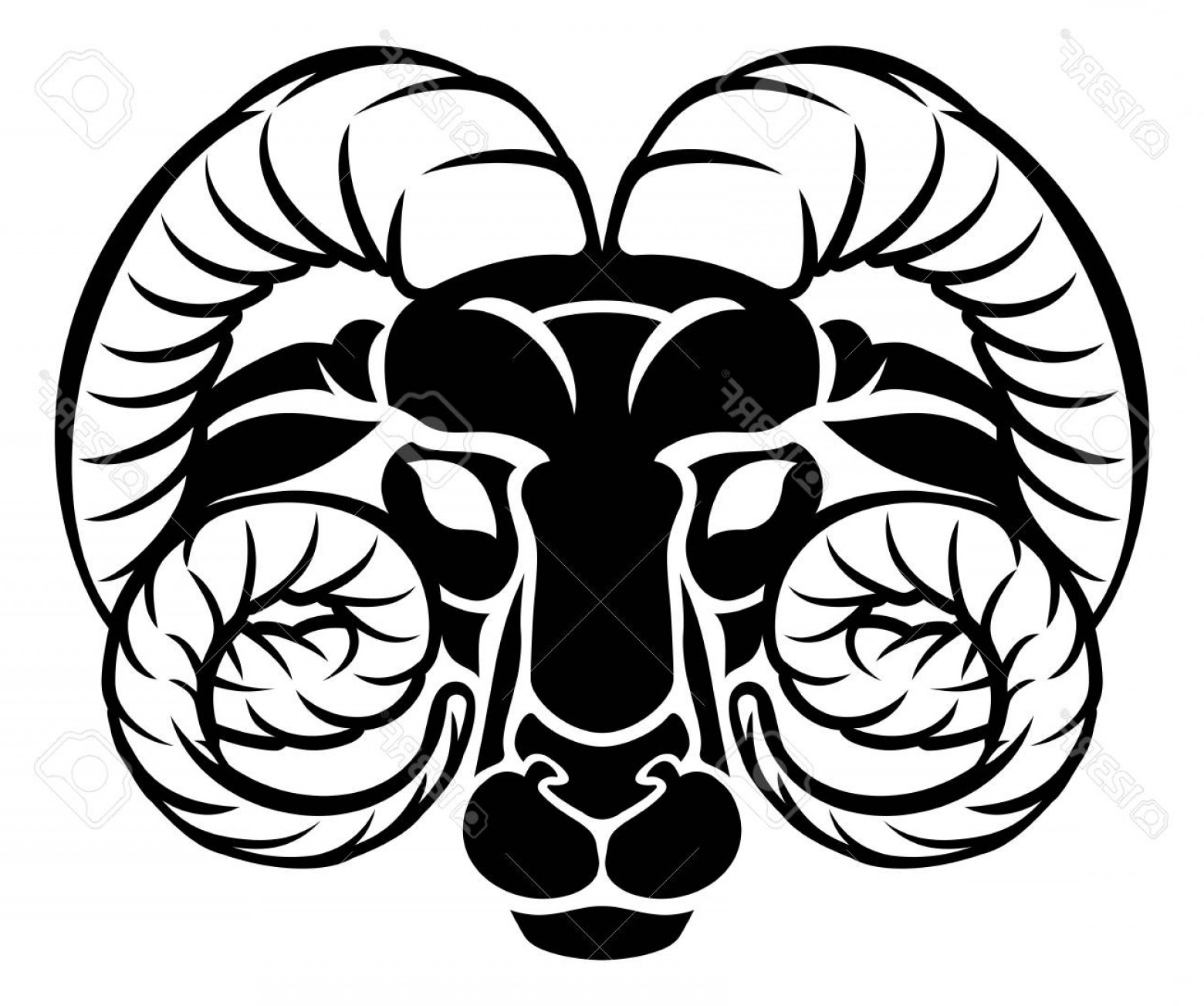 Photostock Vector Horoscope Zodiac Signs Circular Aries Ram 1560x1303 Photostock Vector Horoscope Zodiac Signs Circular Aries Ram