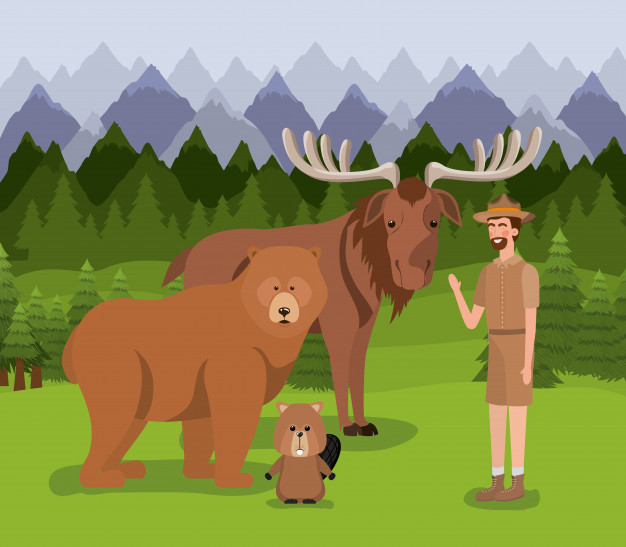 626x547 Moose Bear Beaver And Ranger Vector Free Download