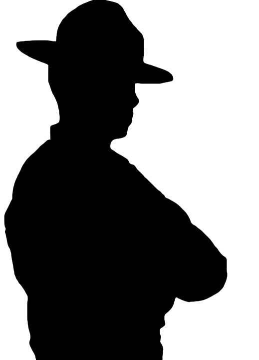 519x720 Fileranger Vector