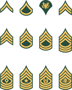 243x300 U S Army Enlisted Rank Insignia Logo Vector