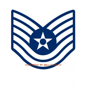 295x295 U S Air Force Ranks Vector Art