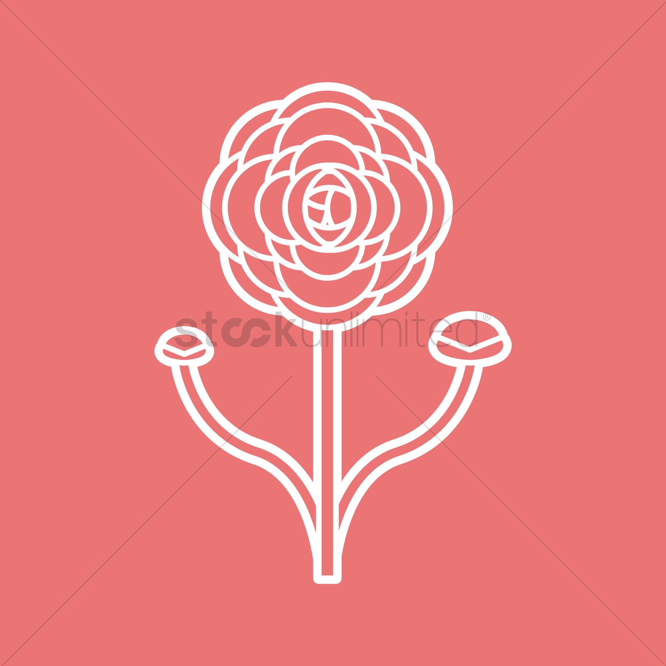 1300x1300 Ranunculus Vector Image