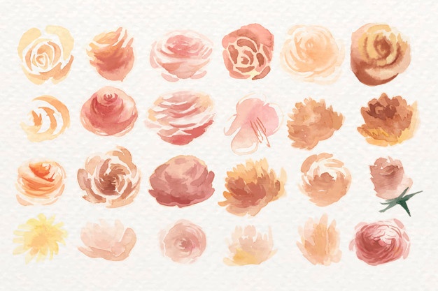 626x417 Ranunculus Vectors, Photos And Free Download