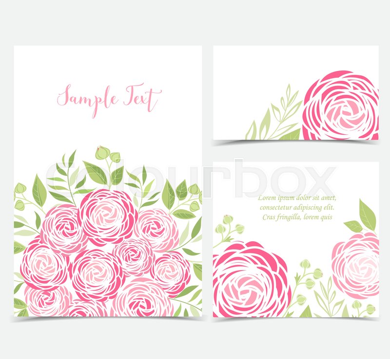 800x738 Set Vector Illustration Of Ranunculus Stock Vector Colourbox