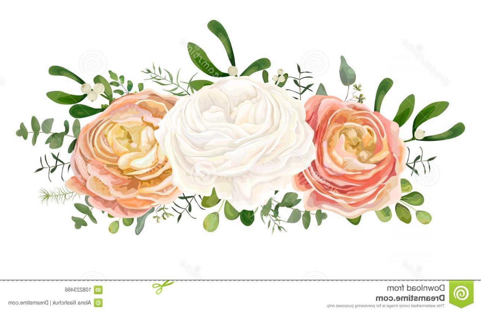 1560x1018 Vector Floral Bouquet White Pink Peach Ranunculus Flower E Vector
