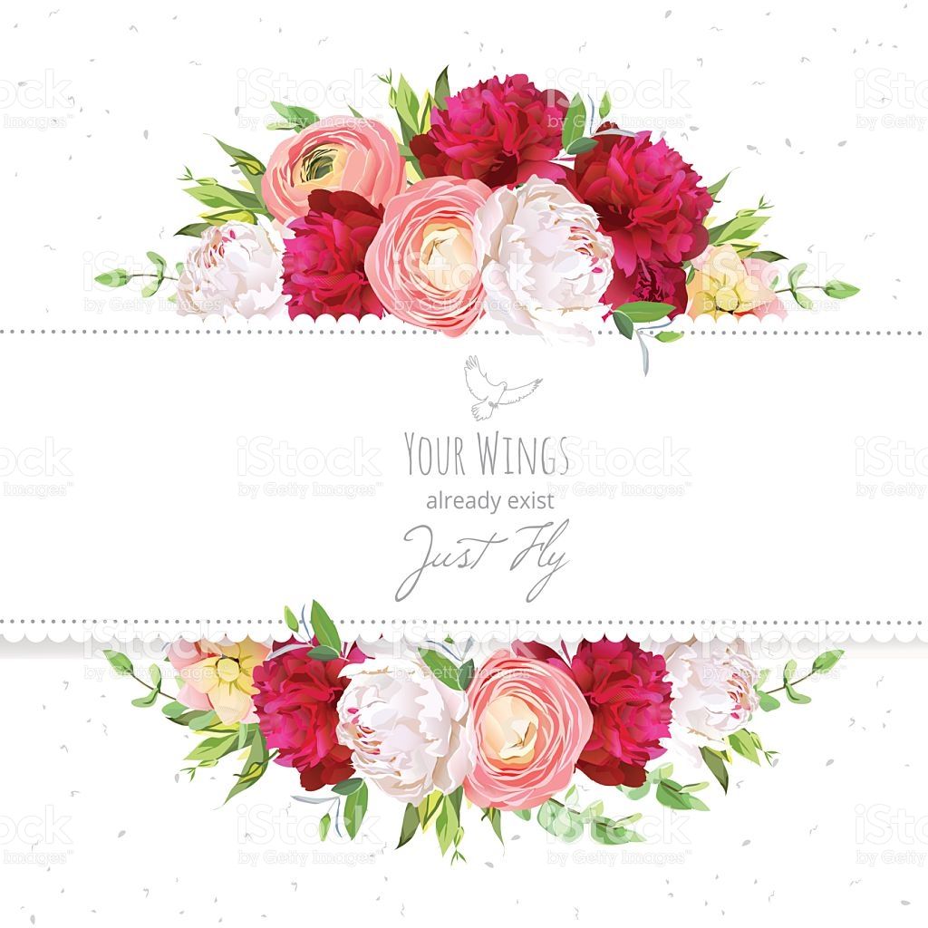 1024x1024 Burgundy Red And White Peonies, Pink Ranunculus, Rose Vector