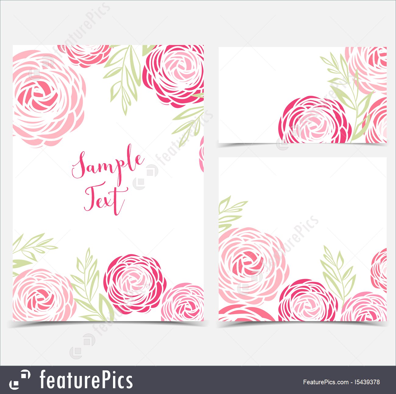 1300x1292 Vector Ranunculus Flower Stock Illustration