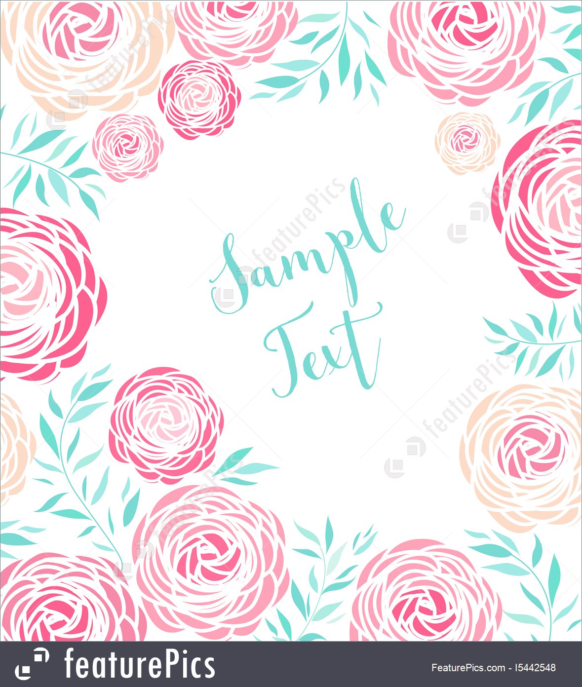 1179x1392 Vector Ranunculus Flower