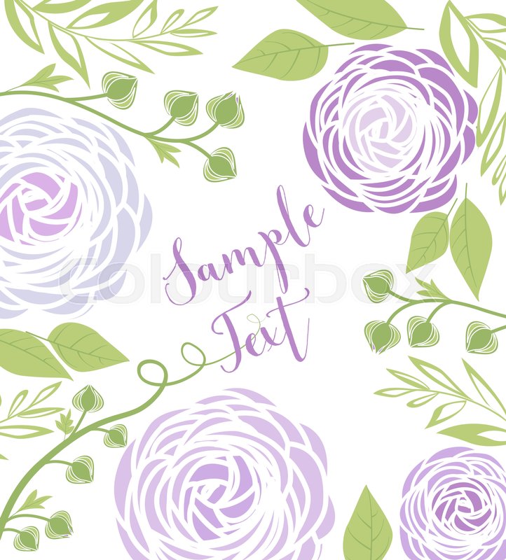 722x800 Vector Illustration Of Ranunculus Stock Vector Colourbox
