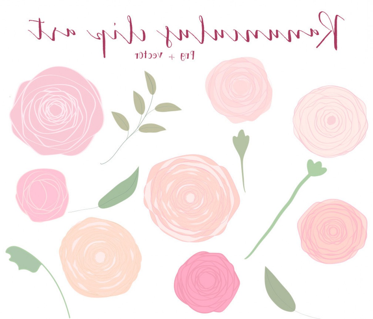 1209x1036 Ranunculus Flower Clip Art Vector And Soidergi