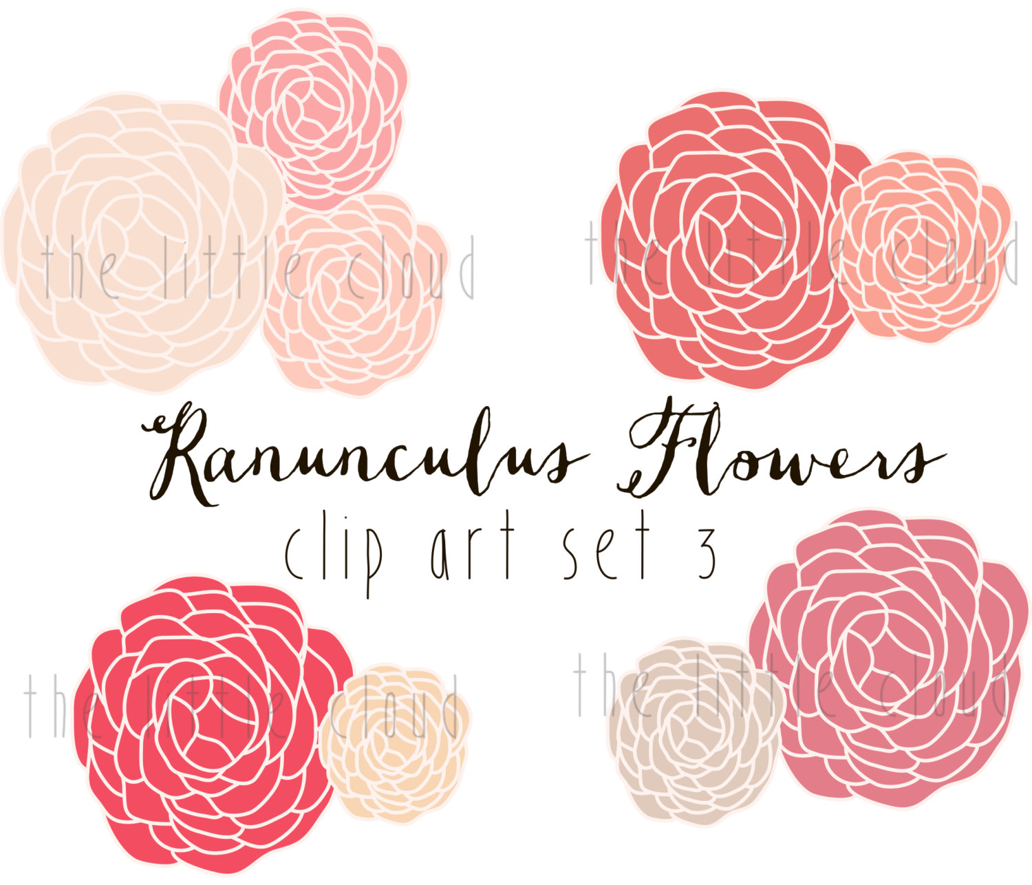 1500x1286 Ranunculus Flower Clip Art Vector And Png Modern Flower Etsy