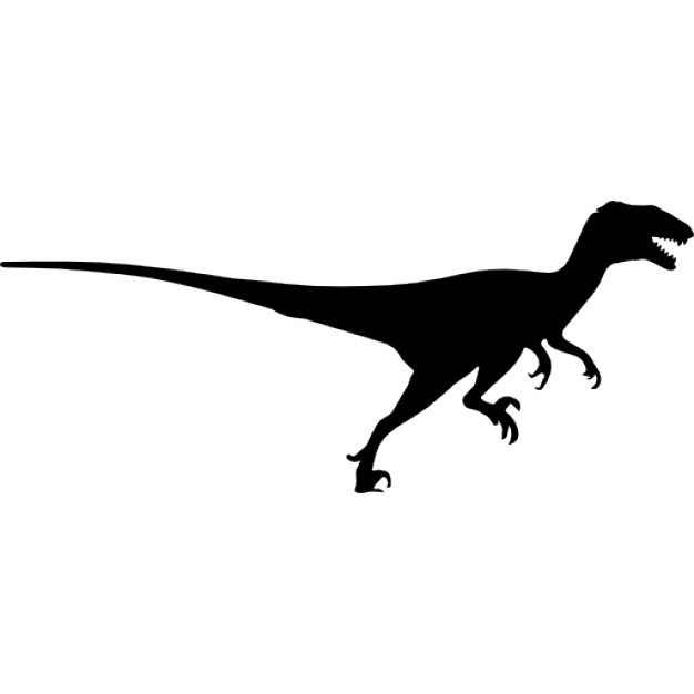 Raptor Dinosaur Silhouette 626x626 Raptor Dinosaur Silhouette