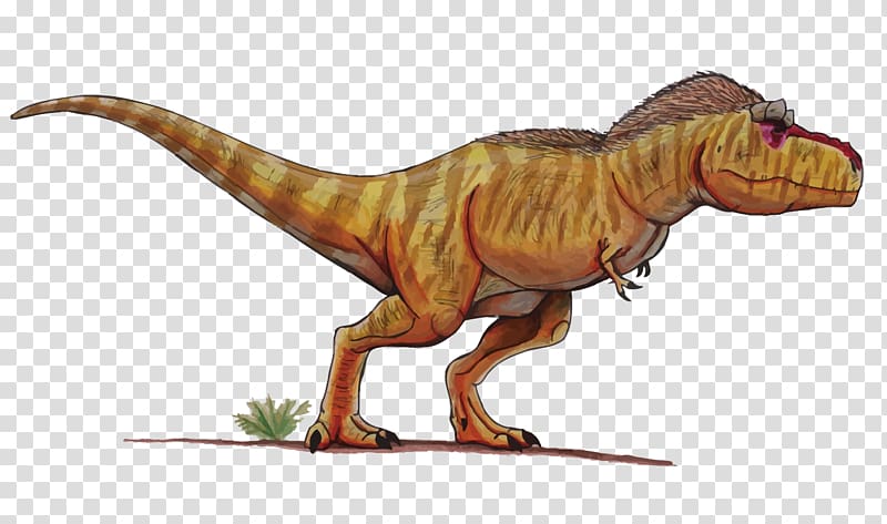 Tyrannosaurus Velociraptor Dinosaur, Dinosaurs Transparent 800x473 Tyrannosaurus Velociraptor Dinosaur, Dinosaurs Transparent