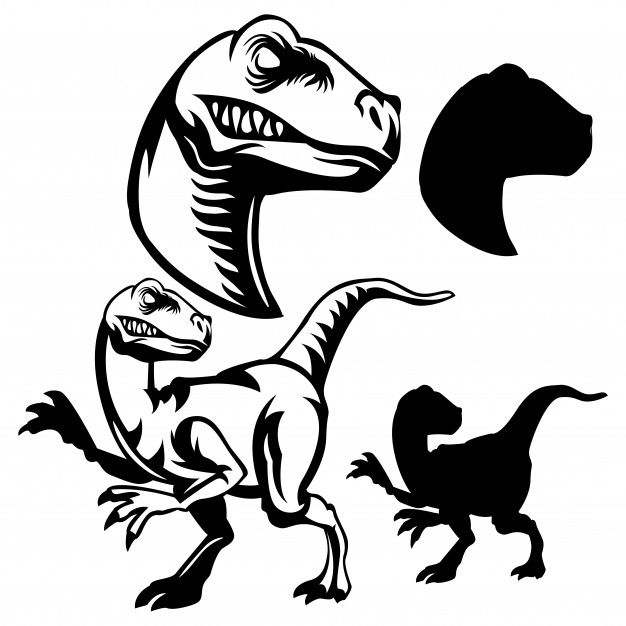 Velociraptor Vectors, Photos And Free Download 626x626 Velociraptor Vectors, Photos And Free Download