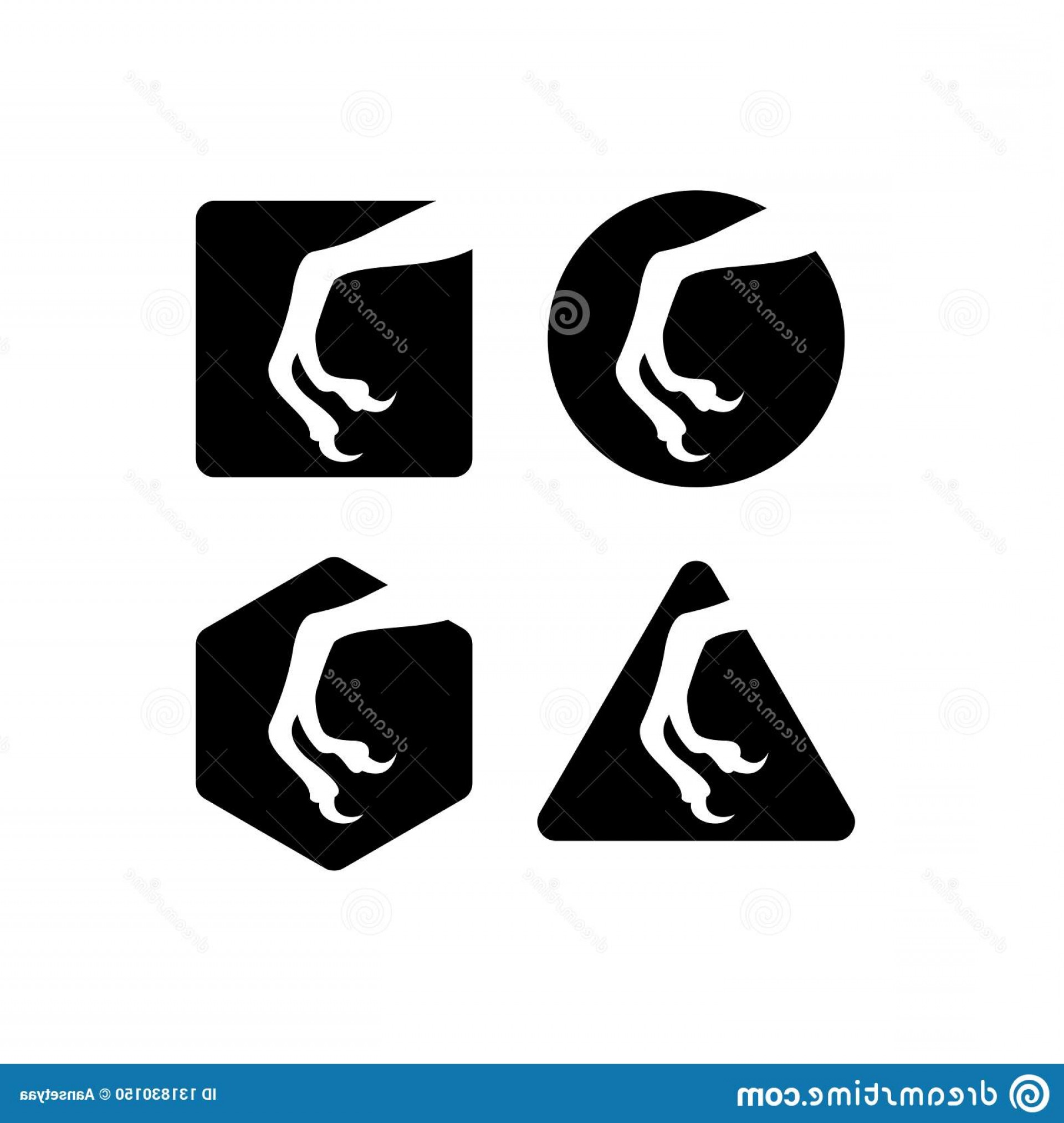 Raptor Logo Design Inspiration Dinosaur Logo Design Dinosaur Claw 1920x2026 Raptor Logo Design Inspiration Dinosaur Logo Design Dinosaur Claw