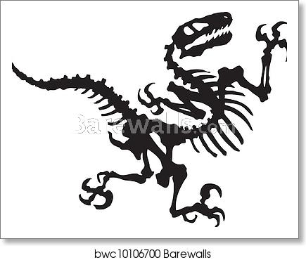 Vector Raptor Dinosaur Fossil, Art Print Barewalls Posters 435x370 Vector Raptor Dinosaur Fossil, Art Print Barewalls Posters