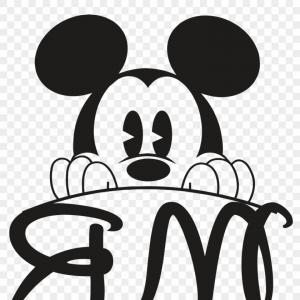 300x300 Rapunzel Tangled Design Createmepink