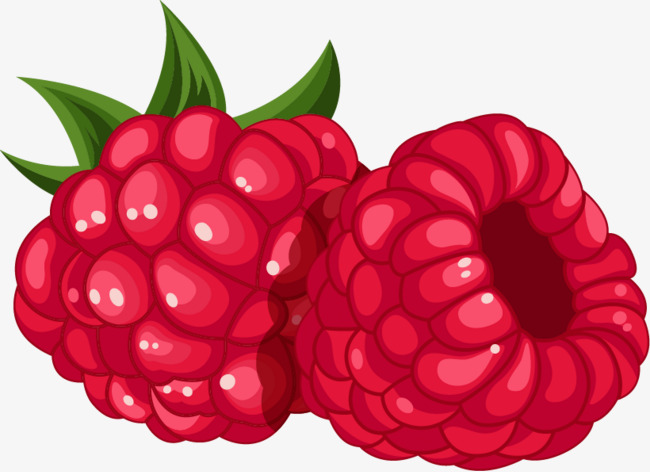 Raspberry Pi Drawing at PaintingValley.com | Explore collection of