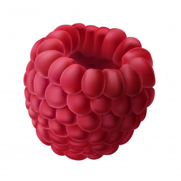 626x626 Raspberry Vectors, Photos And Free Download