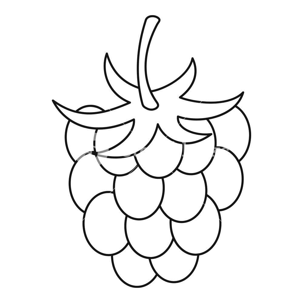 1000x1000 Raspberry Icon Outline Illustration Of Raspberry Vector Icon